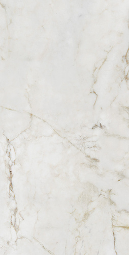 Shellstone White Pol